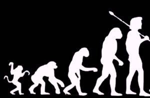 Darwin-evoluzione della specie